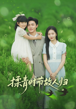 揉青时节故人归（60集）热门短剧全集观看