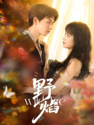 野焰（60集）短剧免费看大结局