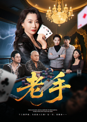 老手（36集）在线观看全集免费短剧