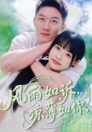 风雨如诉凉薄如你（70集）全集免费观看的短剧资源整合