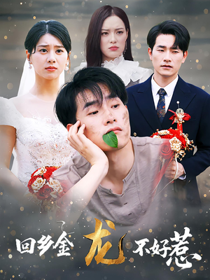 回乡金龙不好惹（74集）热门短剧排行榜