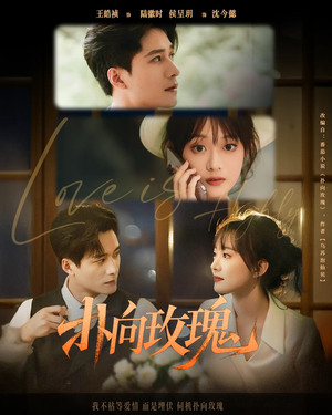 扑向玫瑰（77集）又发现一个超好看的短剧