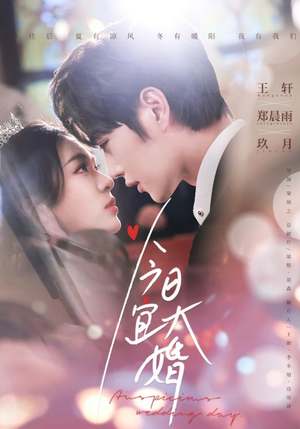 今日宜大婚（59集）短剧视频变现上热门