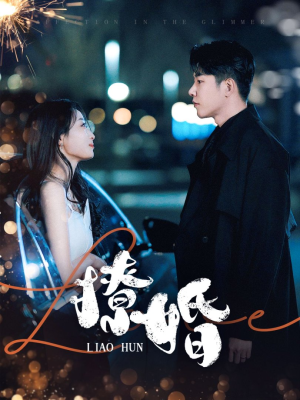 撩婚（90集）每日坚持分享短剧