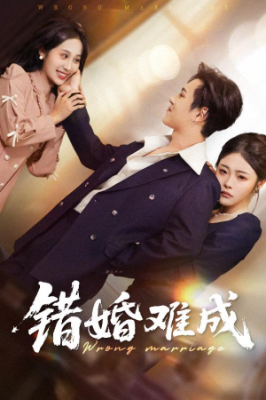 错婚难成（45集）热播短剧抢先看全集