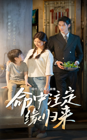 命中注定缘归来（63集）点击链接观看完整版短剧