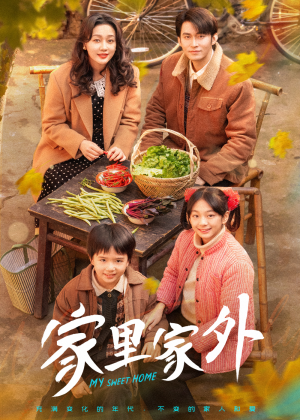 家里家外（79集）真的太精彩了短剧合集分享