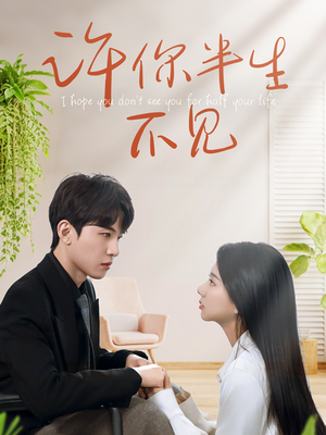 许你半生不见（51集）每天分享好看短剧