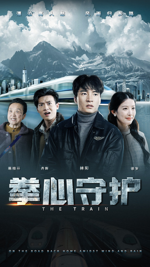 拳心守护（28集）全集在线短剧观看免费版