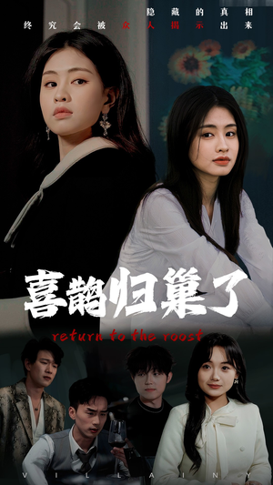 喜鹊归巢了（60集）好看剧情短剧推荐分享