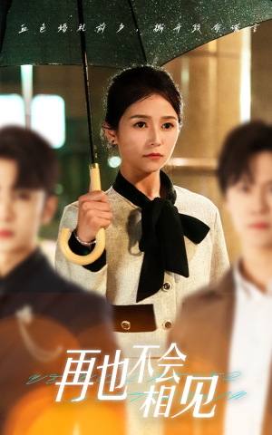 再也不会相见（33集）红果短剧免费全集看