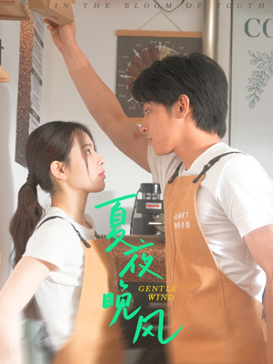 夏夜晚风（12集）每天更新短剧更精彩