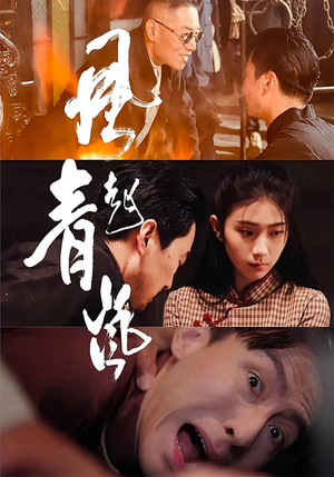 风起青岚（96集）热门短剧推荐精彩片段