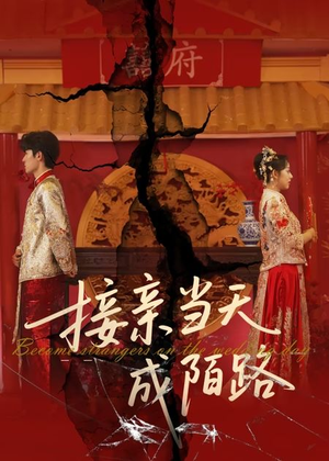 接亲当天成陌路（50集）终于可以免费看短剧了