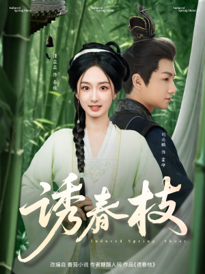 诱春枝（77集）经典老剧短剧免费看