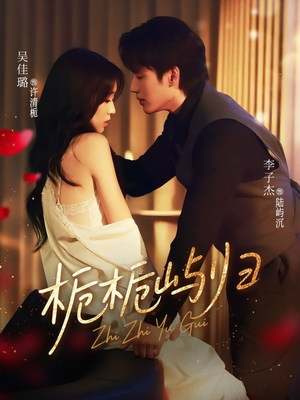 栀栀屿归（80集）全集短剧免费观看无压力