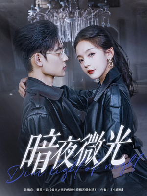 暗夜微光（86集）精彩短剧等你来看