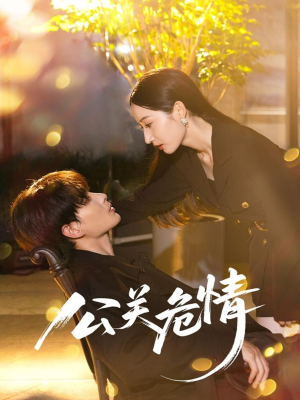 公关危情（60集）红果免费短剧看后续