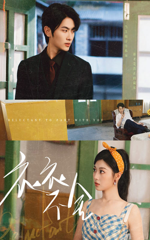 衣衣不舍（63集）新剧来袭热门短剧推荐