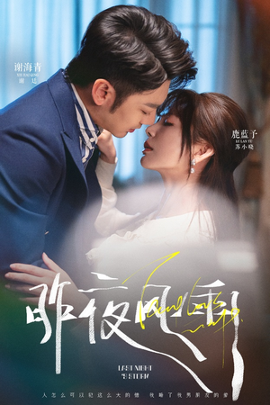 昨夜风雨（63集）好看又上头的热播短剧