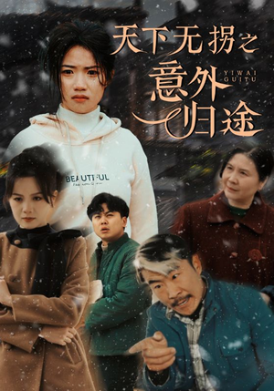 天下无拐之意外归途（61集）精彩短剧看不停