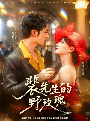 裴先生的野玫瑰（72集）再也不用花钱看短剧了