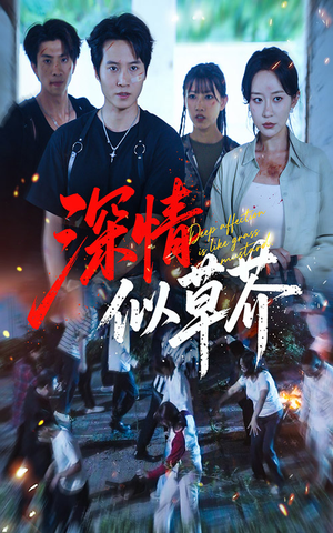 深情似草芥（51集）高清无码短剧免费看