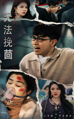 无法挽回（56集）都市生活短剧免费在线观看