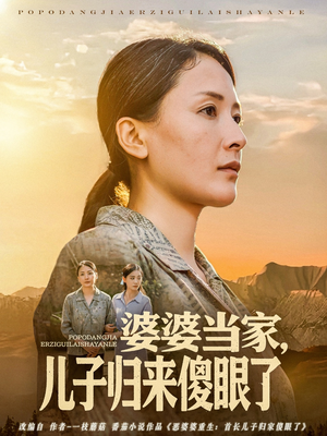 婆婆当家儿子归来傻眼了（80集）真的太精彩了短剧合集