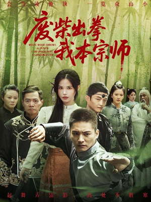废柴出拳我本宗师（61集）常回家看看短剧