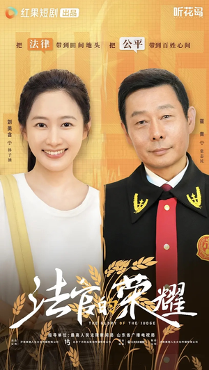 法官的荣耀（5集全）每日坚持分享短剧