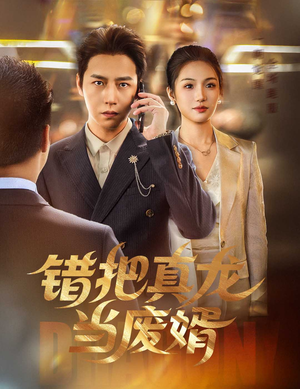 错把真龙当废婿（60集）精彩短剧持续更新