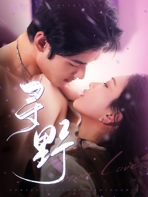 寻野（100集）零花钱看整部剧的短剧平台