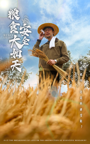 粮食安全大如天（43集） 红果短剧免费看后续