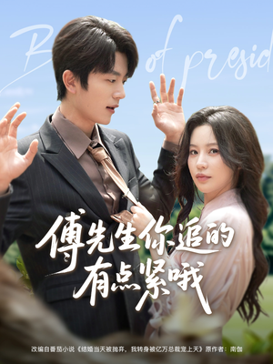 傅先生你追的有点紧哦（95集）一键在线观看全集短剧