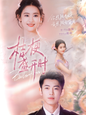她的小桔梗（92集）热门短剧来袭精彩抢先看