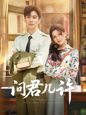 问君几许（91集）零花钱看整部短剧的优质平台