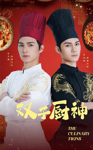 双子厨神（55集）不用花钱看全剧的短剧平台