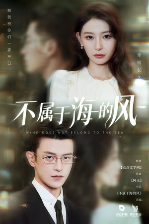 不属于海的风（40集）百度网盘在线看短剧
