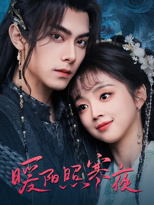 暖阳照寒夜（68集）经典回顾短剧免费看