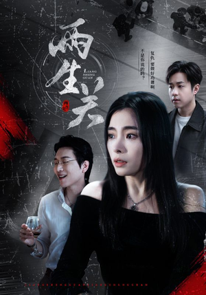 两生关（40集）西瓜视频免费看短剧