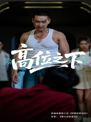 高位之下（65集）免费短剧全集任你观看