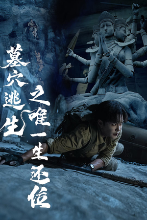 墓穴逃生之唯一生还位（70集）精彩不断短剧免费看