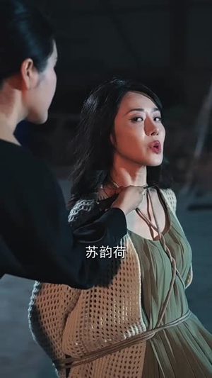 人到中年离婚吧顾总（63集）短剧免费在线看全集