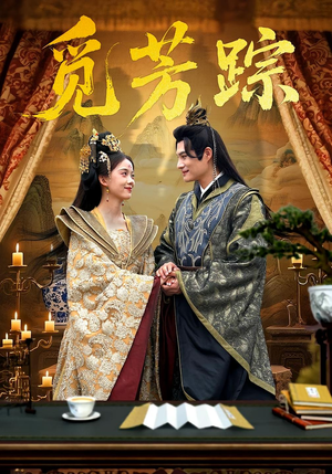 觅芳踪（91集）红果短剧免费看app