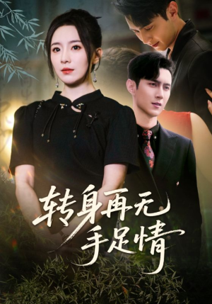 转身再无手足情（71集）全集短剧免费观看不收费