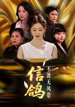 信鸽不渡无风带（65集）火热短剧抢先看