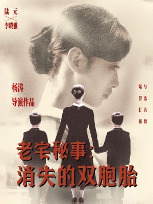老宅秘事消失的双胞胎（90集）番茄短剧看全集