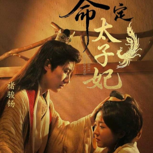 命定太子妃（63集）短剧全集投屏大屏看