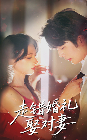 走错婚礼娶对妻（60集）短剧演员排行榜